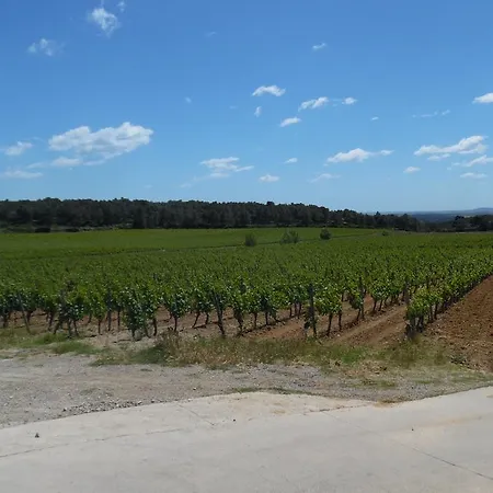 Domaine Des Augustins * Montagnac (Herault)